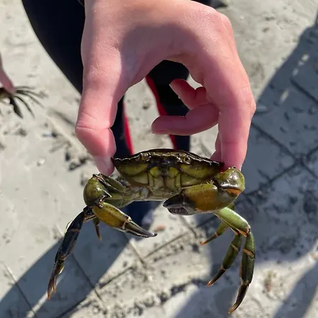 Teach Chnoc Na Heorna