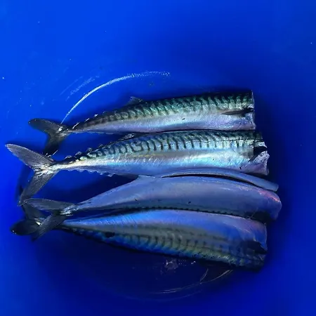 Teach Chnoc Na Heorna 別荘 *