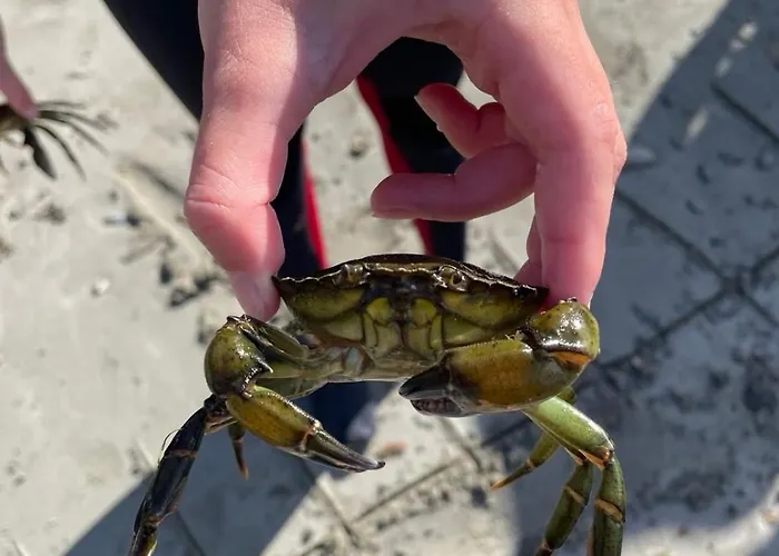 Teach Chnoc Na Heorna