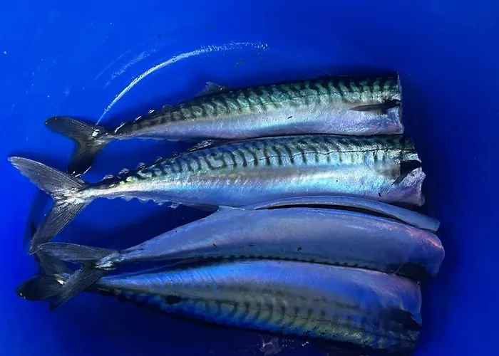 Teach Chnoc Na Heorna Ferienhaus *